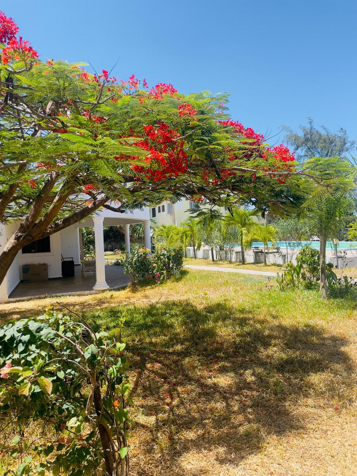 3 Bedroom White House Malindi Exterior foto